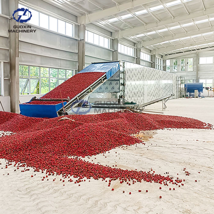 Chili Drying Machine