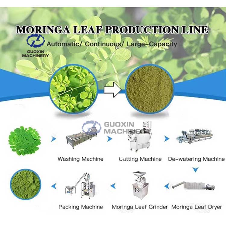 Moringa Leaf Drying Processing Machine
