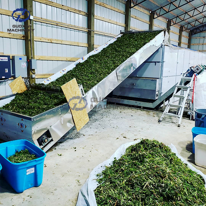 Commercial Hemp Dryer