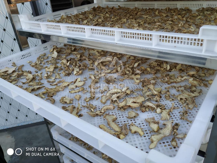 Ginger dryer on-site in Vietnam