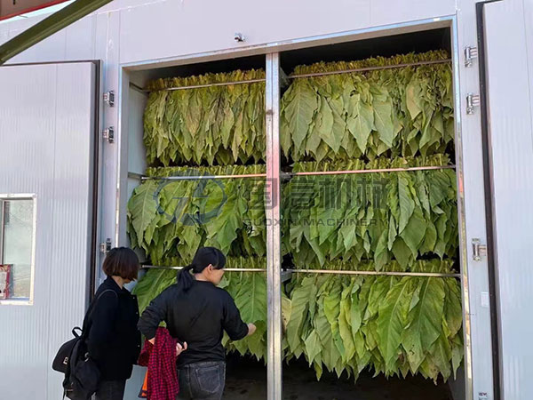Indonesian tobacco drying site