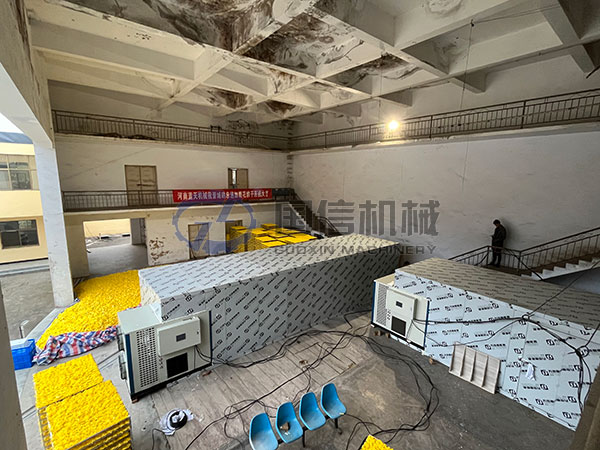 Chinese chrysanthemum drying site