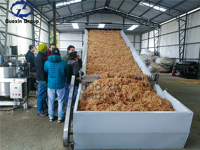 Chilean sphagnum moss dryer Working Site
