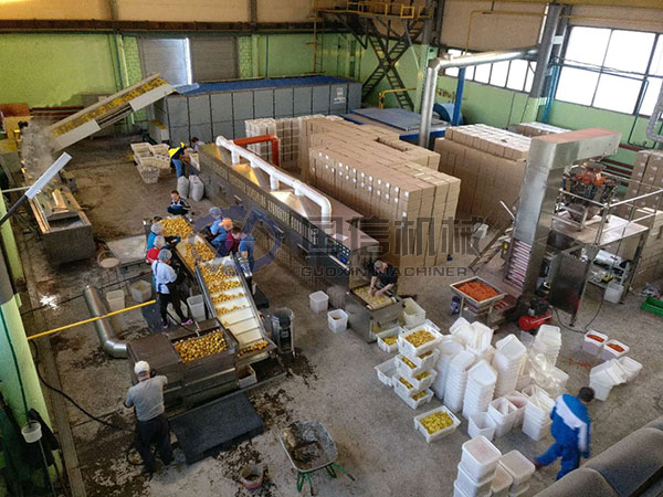 Russian fruit dryer work site