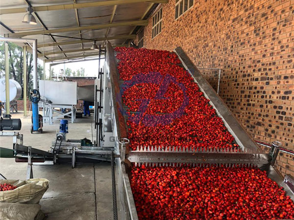 Ghana chili drying work site