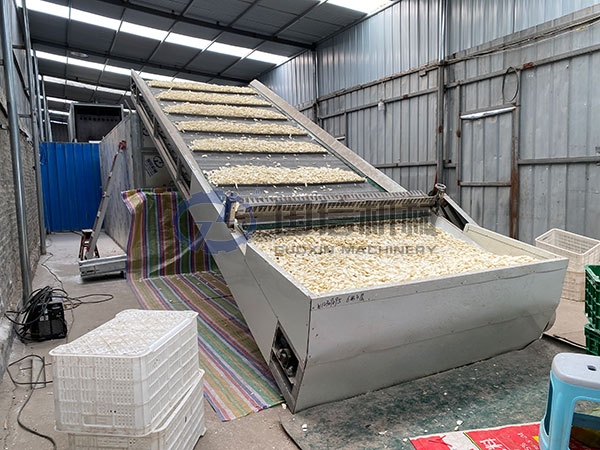 Chinese yam drying customer site