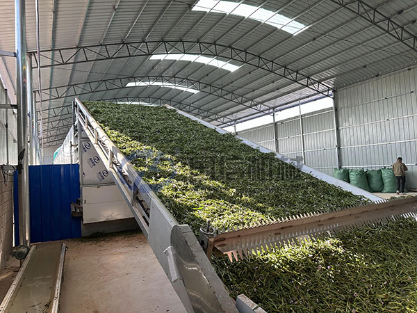 Laos grass drying customer site