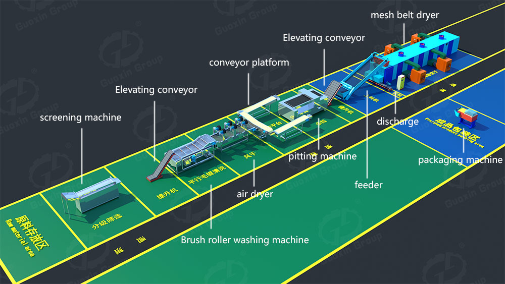 Vegetable drying production line